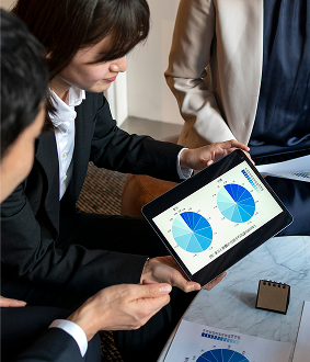 SAP Optimization & Performance Enhancement Advisory